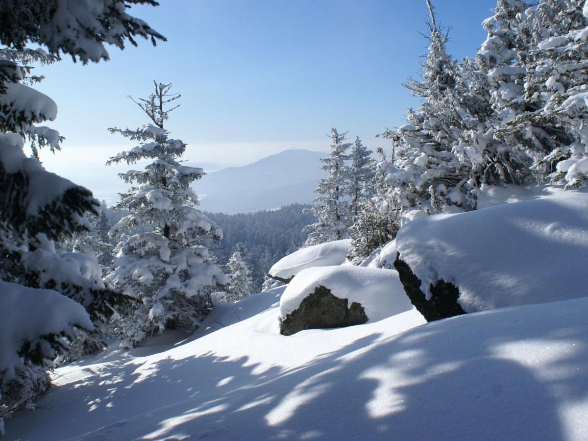 Lovely Holiday Home In Viechtach Near The Forest ภายนอก รูปภาพ