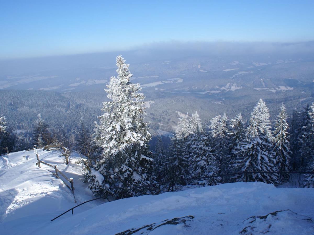 Lovely Holiday Home In Viechtach Near The Forest ภายนอก รูปภาพ